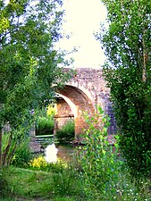 Vegetación de ribera y al fondo, uno de los arcos del puente de Cantillana.