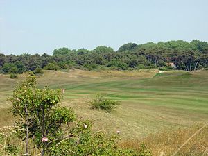 English: Royal Zoute Golf Club, links course