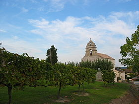 Saint-Nexans&#160;: vignes et église