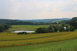 Scenery of Penn Township