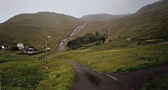 Wald bei Selatrað