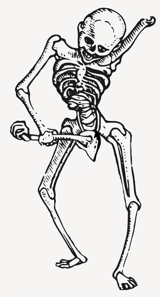 Description de l'image Skeleton_illustration_Ahkiyyini.png.