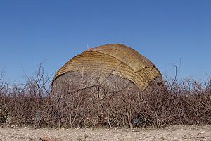 A traditional Somali nomad's hut (aqal) near B...