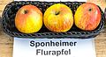 Sponheimer Flurapfel