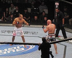 Shane Carwin və Junior dos Santos döyüşündən bir kadr