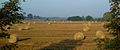 Herbst bei Vehlefanz