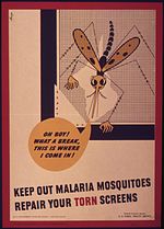 Miniatura per Història de la malària