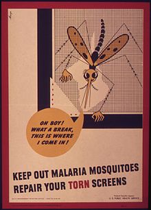 Second World War poster "Keep out malaria mosquitoes repair your torn screens". U.S. Public Health Service, 1941-45 "Keep out malaria mosquitoes repair your torn screen" - NARA - 514969.jpg