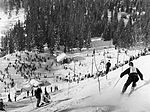 Miniatura per Esquí alpí als Jocs Olímpics d'hivern de 1952