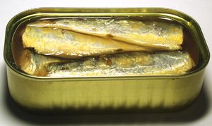 Canned sardines in salt water