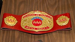 AAA World Mixed Tag Team Championship belt.jpg