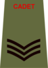 ACF Cadet Rank Slide Sgt.png