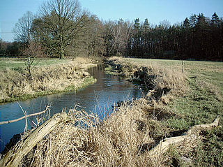 Die Schnelle Havel nördlich von Friedrichsthal