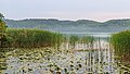 13. A Schermützelsee partja (Buckow, Brandenburg, Németország) (javítás)/(csere)