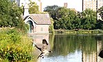 Canada goose flying into the Meer, looking east toward the Dana Discovery Center (2020).