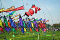 Blossom Kite Festival, March 31, 2012