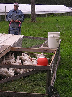 A farmer on Martha's Vineyard moves a mobile p...