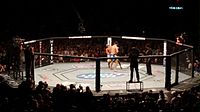 Крис Вайдман нокаутировал Андерсона Сильву на UFC 162..jpg