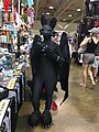 Quarter_year_cosplayz as Toothless the dragon