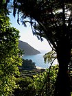 Strand an der Golden Bay / Mohua im Abel Tasman National Park