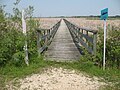 Die Grassy Narrows im Westen von Hecla Island bei sommerlicher Trockenheit