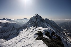 Хохголинг през зимата