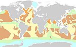 Vignette pour Sédimentation marine