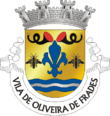 Vlag van Oliveira de Frades
