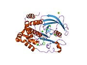 2f6w: Protein tyrosine phosphatase 1B with sulfamic acid inhibitors