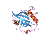 2gw2: Crystal structure of the peptidyl-prolyl isomerase domain of human cyclophilin G