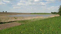 Paežerių ežeras nuo Liudvinavo pusės