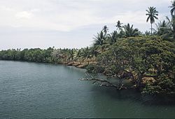 Costa dell'isola di Palawan nelle Visayas