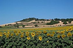 Skyline of Luzillat