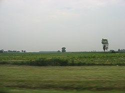 Across the broad fields of rural Townsend Township