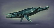 Miniatura per Pliosaure