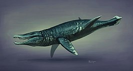 Pliosaurus