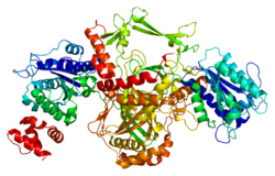 PDB rendering based on 1jeq.