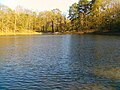 Teufelssee (Westseite) Blick Richtung Osten