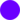 Purple circle full.png