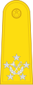 Marshal of the Royal Thai Air Force (จอมพลอากาศ) (Thailand)