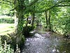 River Ottery - geograph.org.uk - 212774.jpg