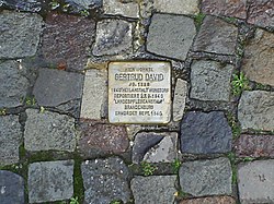 Stolperstein für Gertrud David.jpg