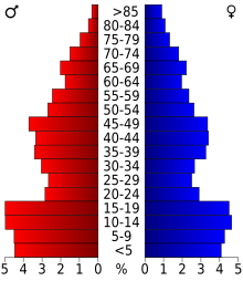 Schéma représentant la population du comté, par tranche d'âge. En rouge, à gauche, les femmes, en bleu à droite, les hommes.