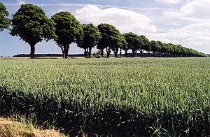 Rural area in Vallø municipality