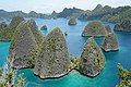 Eilun uun Raja Ampat