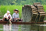 Tradicinės žuvų gaudyklės, Vietnamas