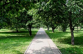 Яблоневая аллея в Дмитровском парке