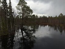 Поннока. Участок озеро Поннока — Боярское. Вид против течения.