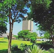 برج جامعة بغداد