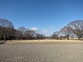 site of the Kondō